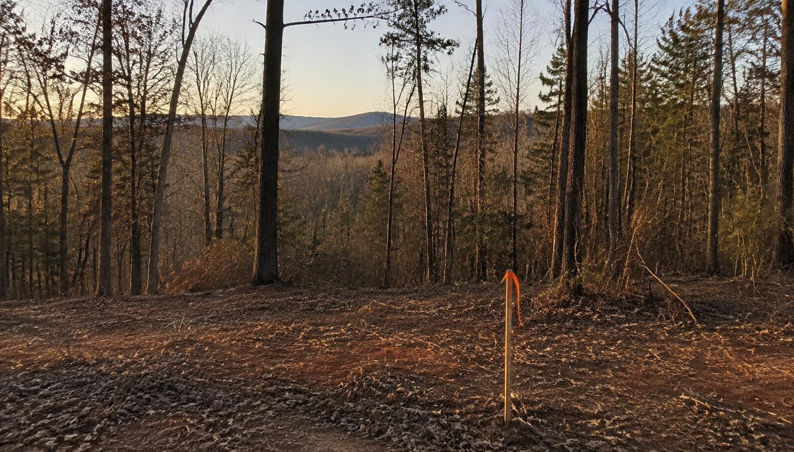 Illustrative photo: a wooded lot with a survey stake and flagging tape