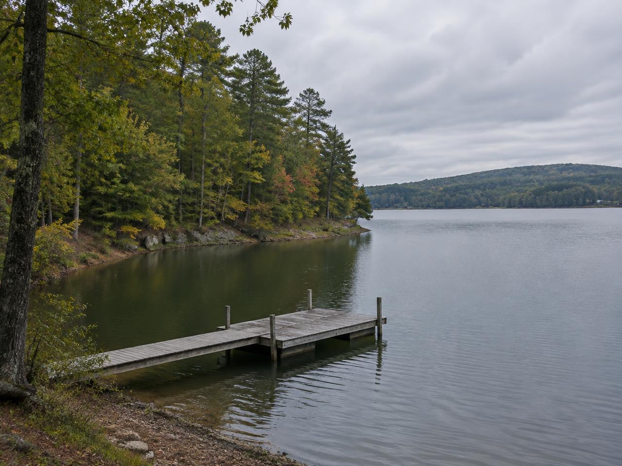 Illustrative photo: a wooded lake cove with a simple wooden dock