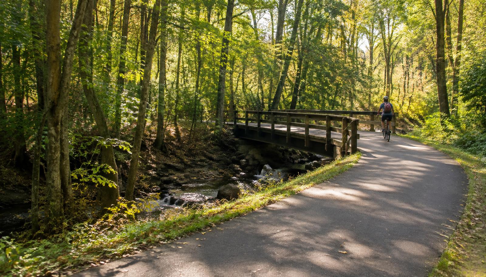 Illustrative photo: a cyclist on a wooded greenway with a footbridge